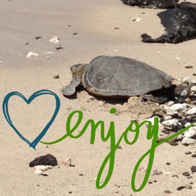 Happiness Tip: Act Like a Turtle