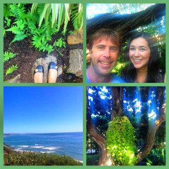 Beach View - Happsters