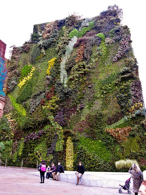 Top 10 Vertical Gardens