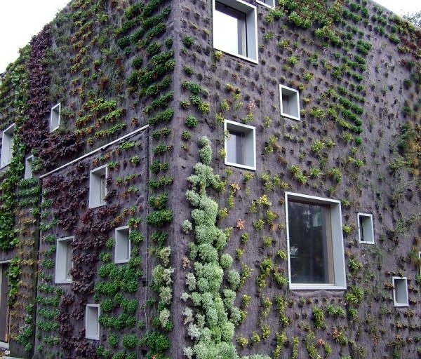 Top 10 Vertical Gardens