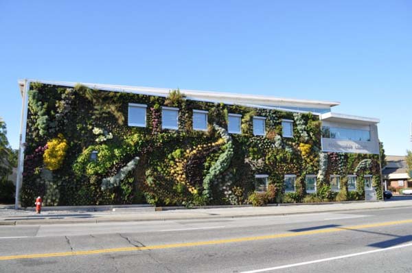 Largest vertical garden