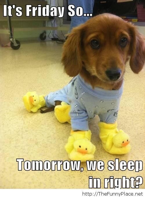 We sleep in tomorrow right?