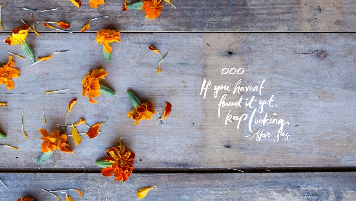  "If you haven't found it yet. Keep looking."