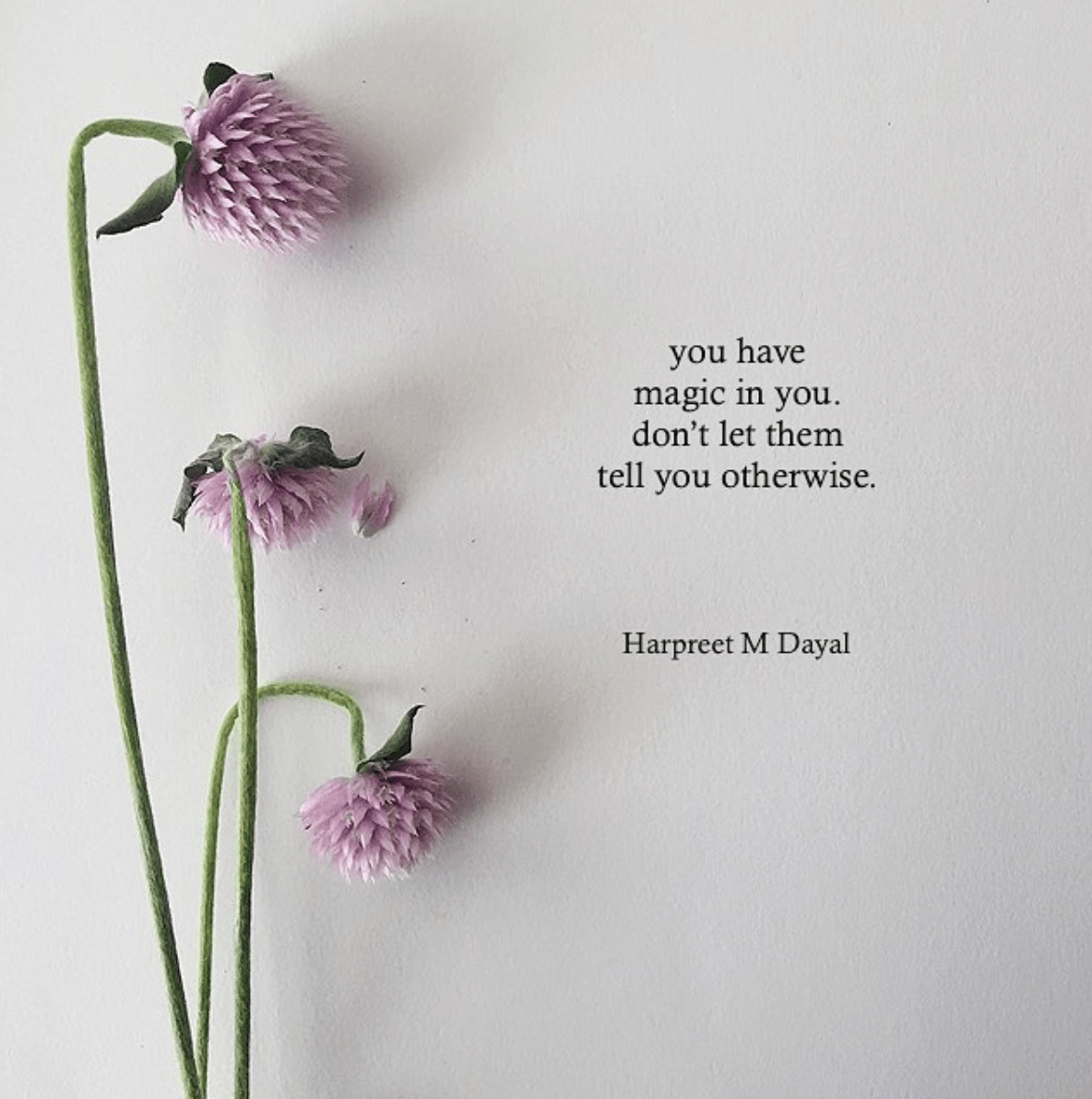 HMDayal___harpreet_m_dayal__•_Instagram_photos_and_videos