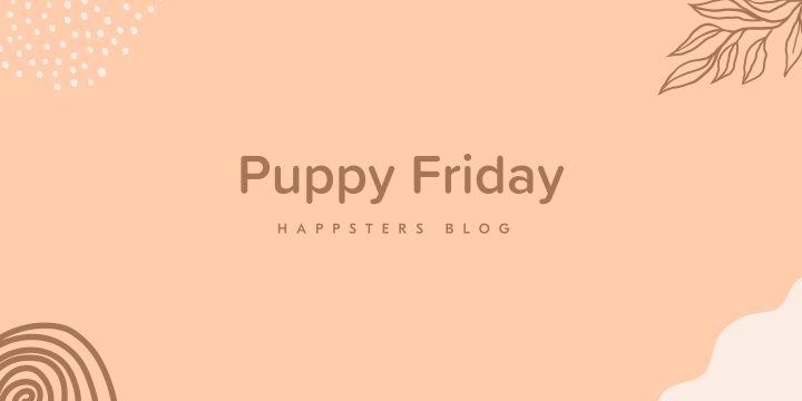 Puppy Friday + Amazing Dog Stories